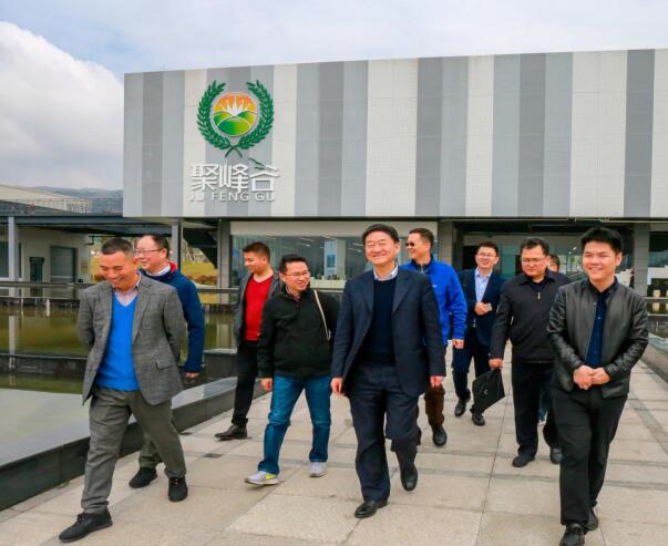 集团党委书记、董事长任丁率队调研聚峰谷