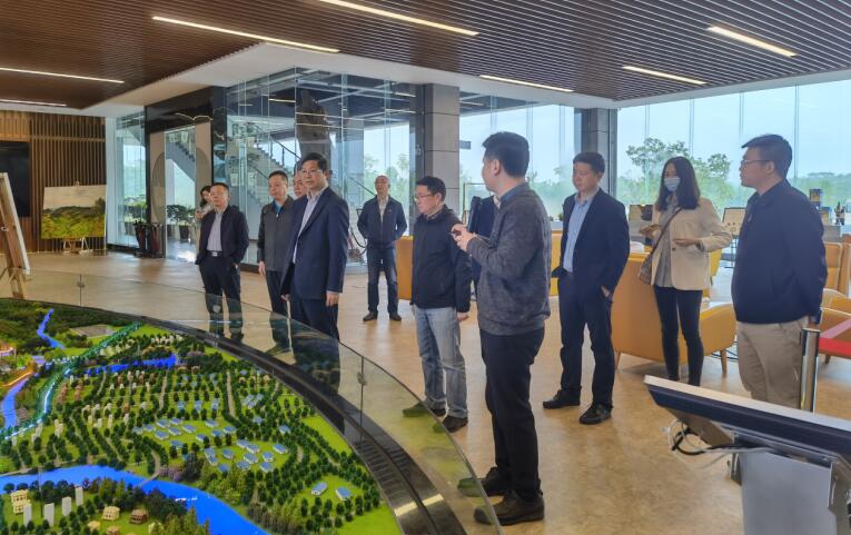 广西旅发集团党委书记、董事长容贤标考察集团文旅项目